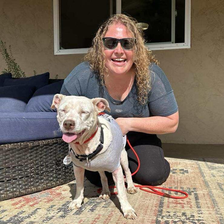 Enlarge Lexi Beech, a Adoptable Beagle in Silver Spring, MD image 4/6