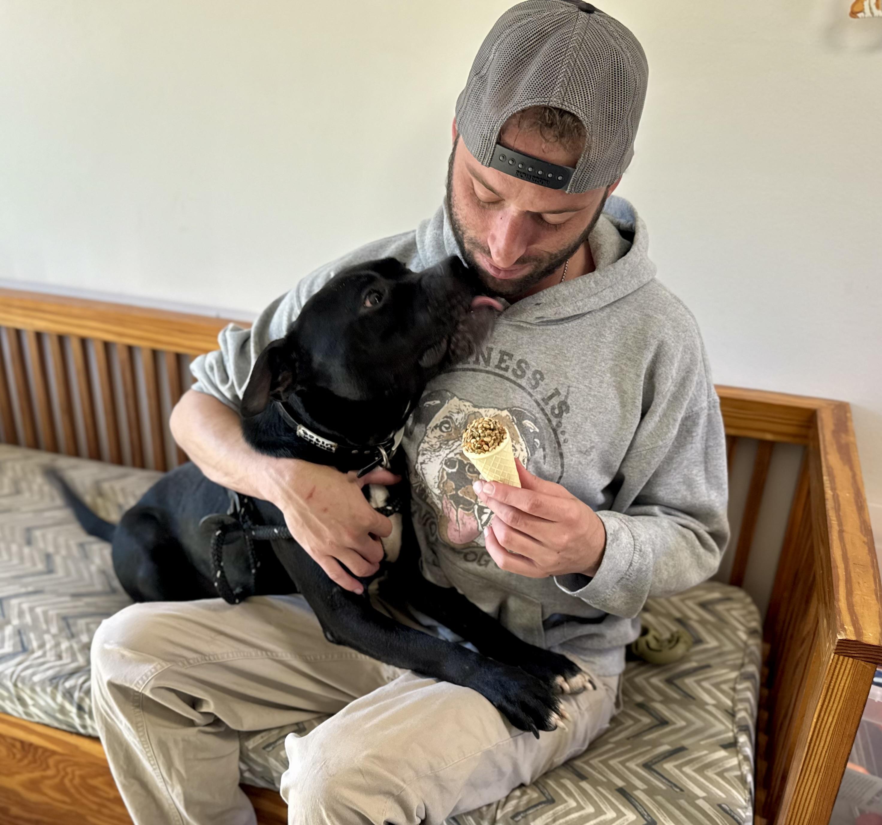 Asher , a ADOPTABLE Mixed Breed in Palm City, FL image 2/3