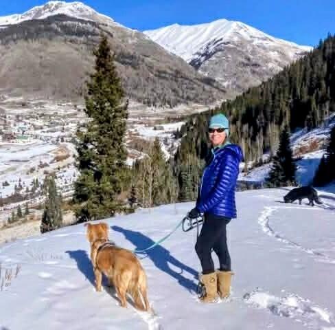 Della, a Adoptable mixed breed in Evergreen, CO image 2/6