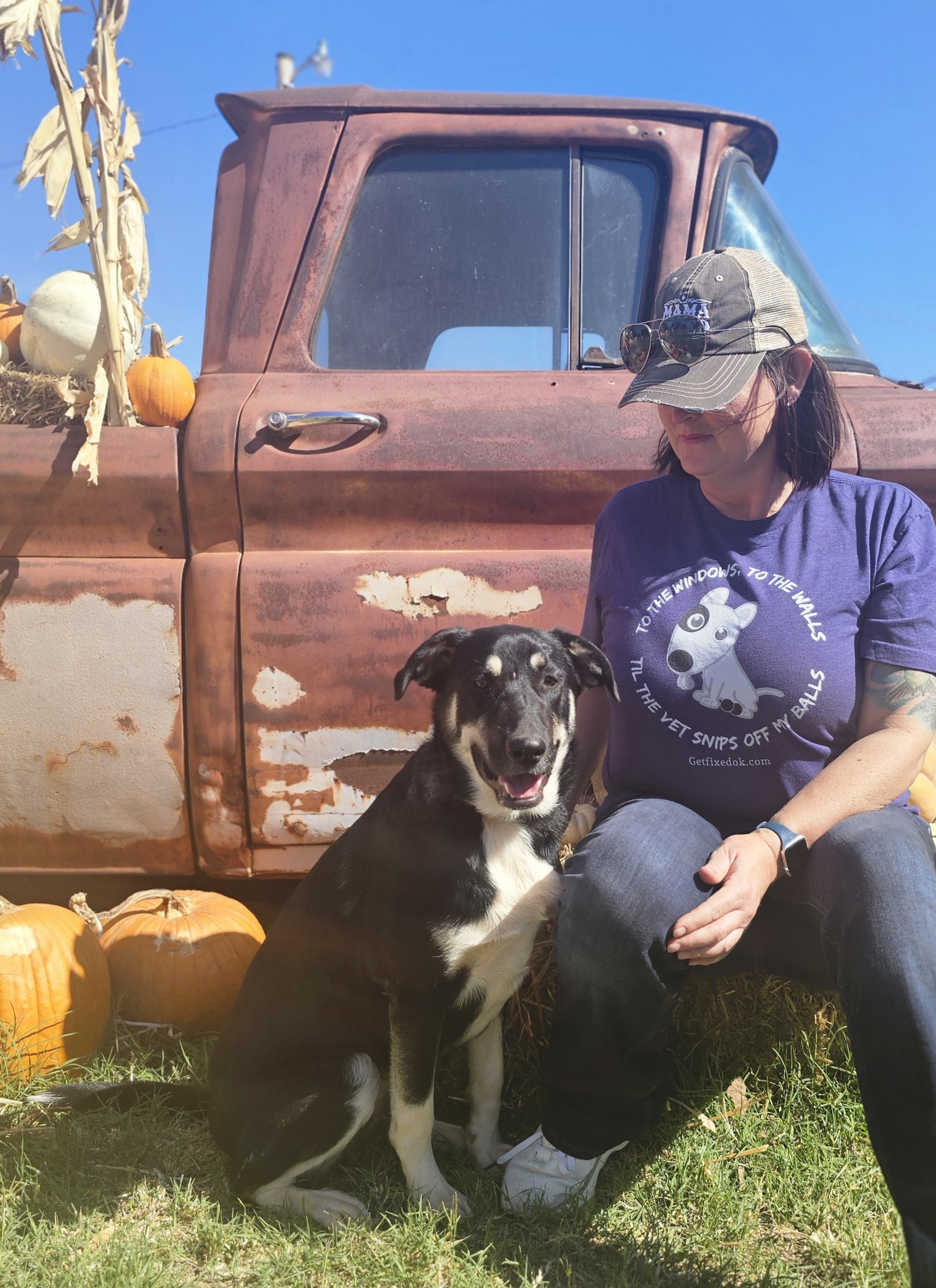 Pipsqueak, a Adoptable mixed breed in Newcastle, OK image 3/6