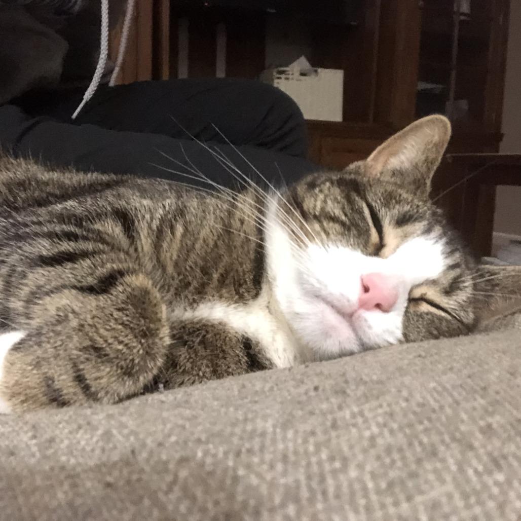 Izzy — thumbnail 3