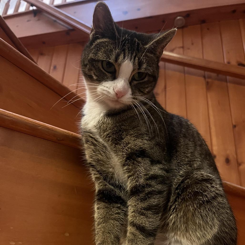 Izzy — thumbnail 5