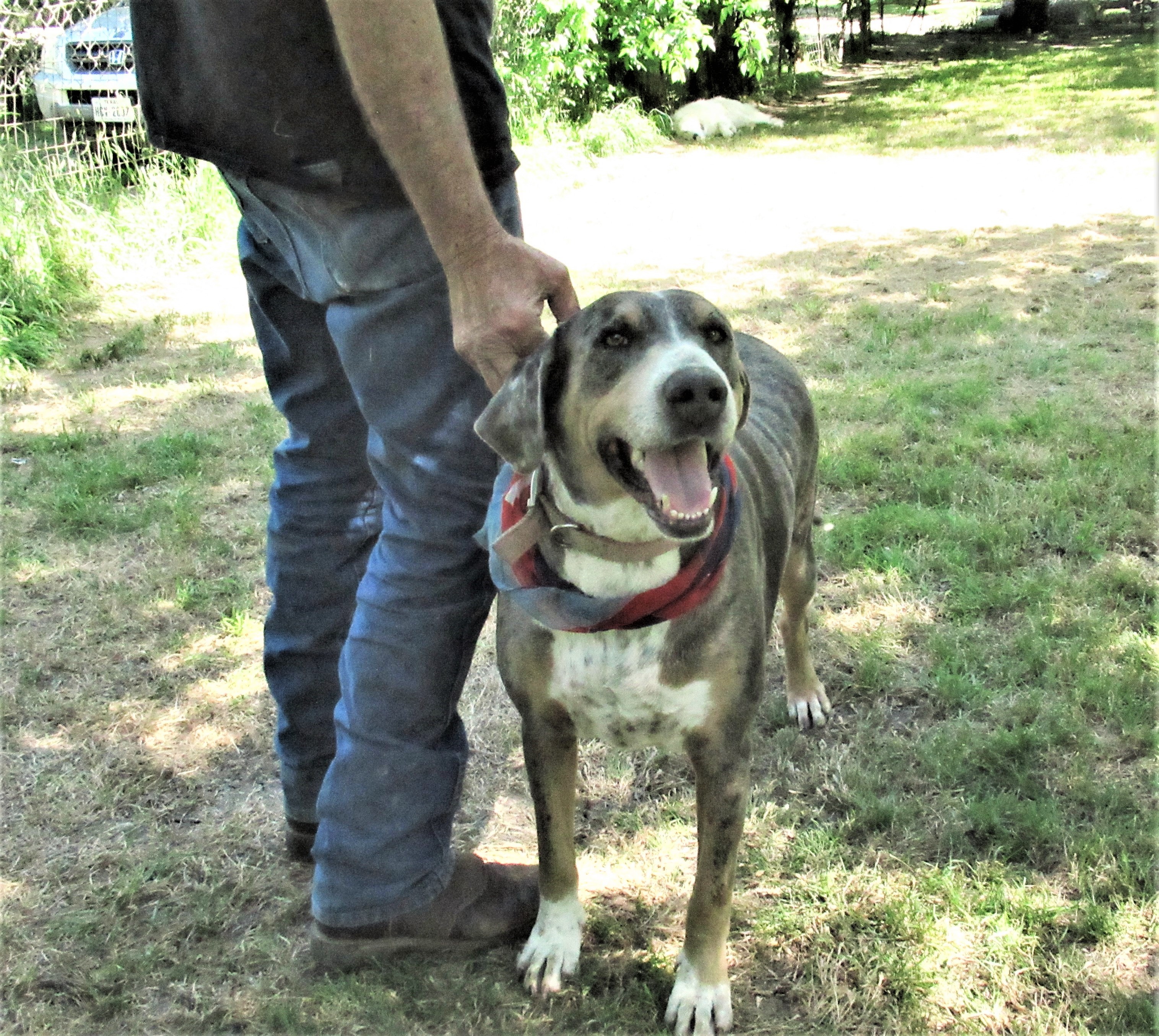 Duke photo 6