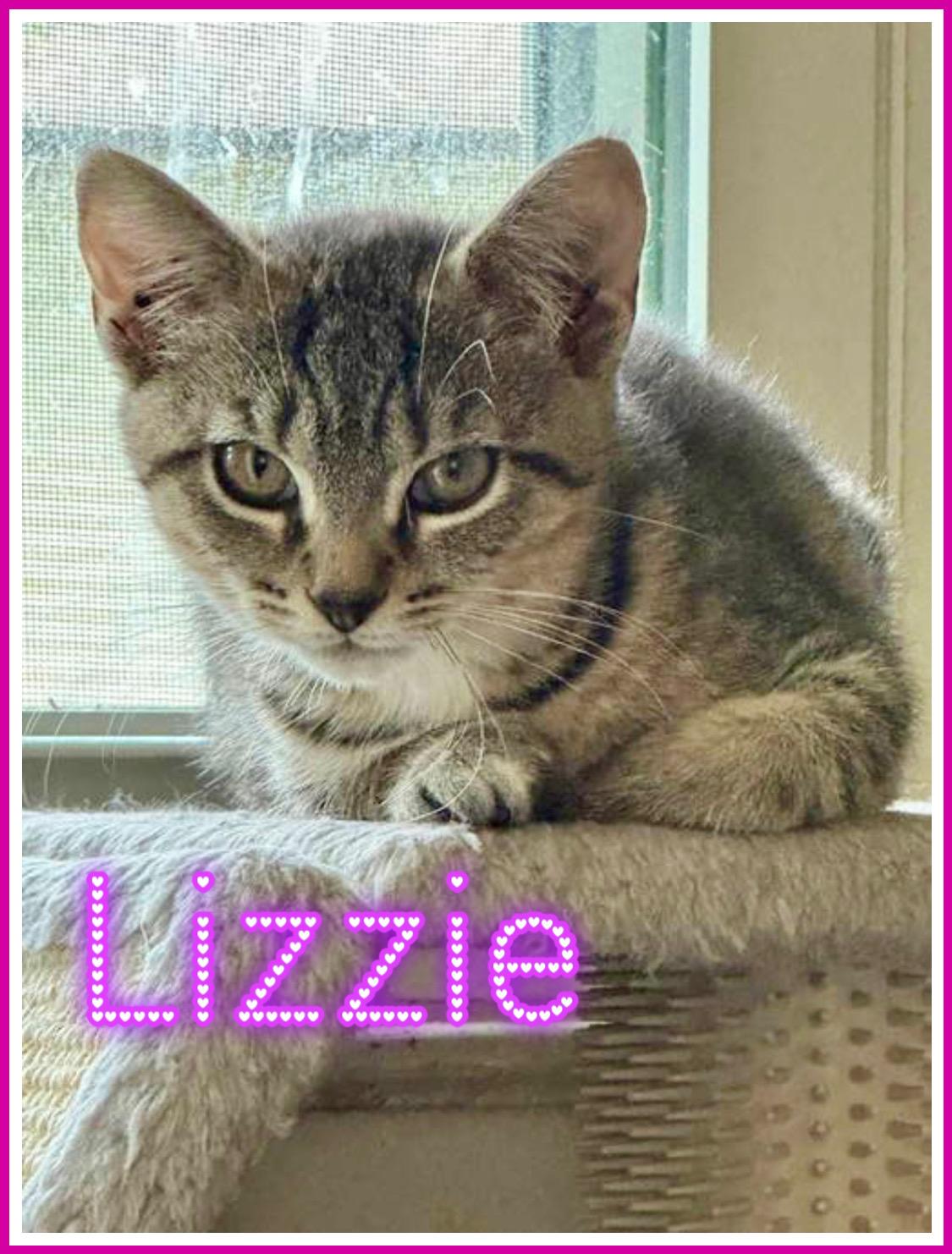 Lizziec