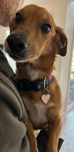 Coco - So Ca — thumbnail 3