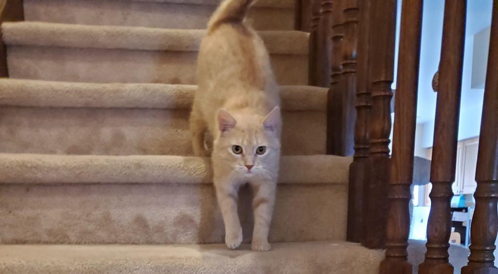 Samy photo 1