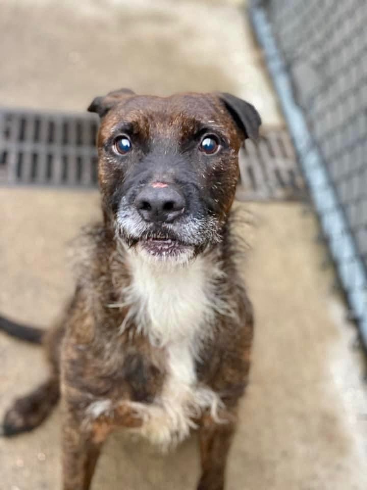 Ender photo 3