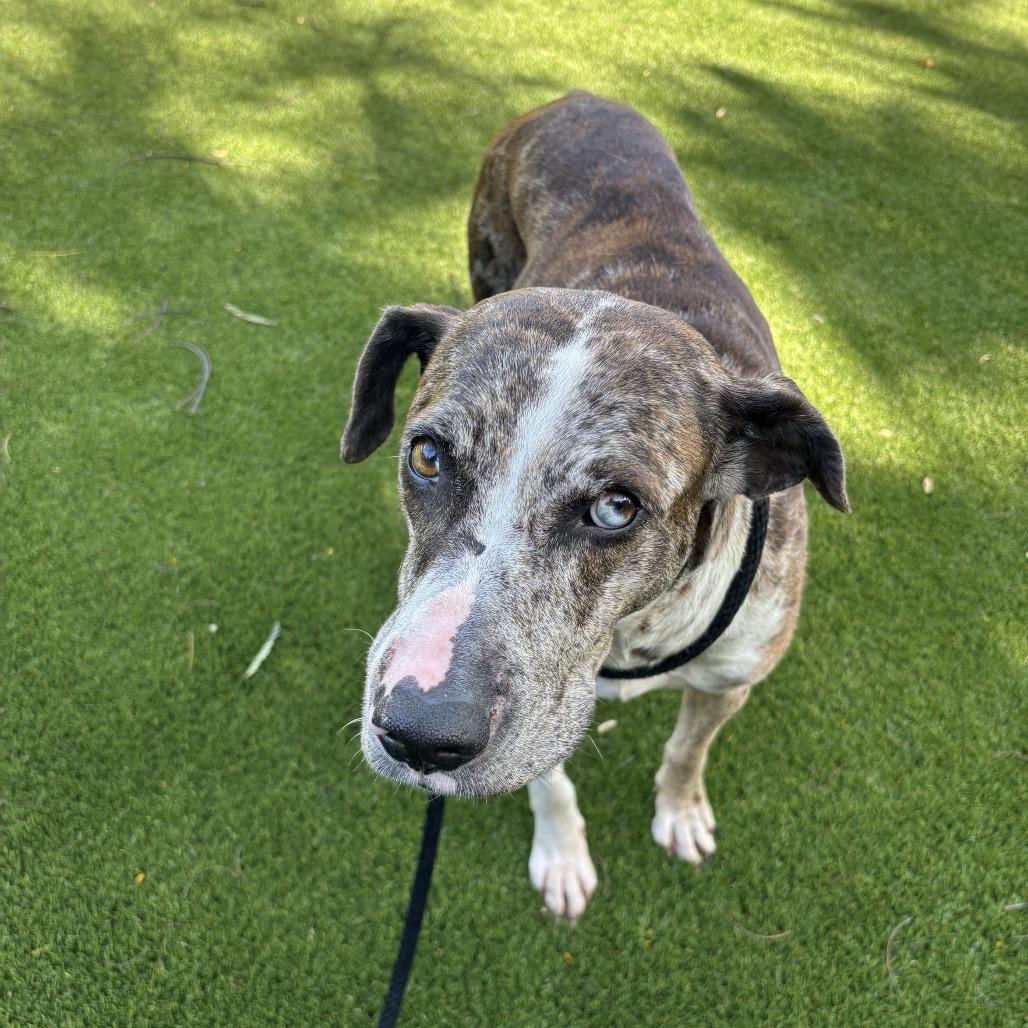 Luna Poo thumbnail 2