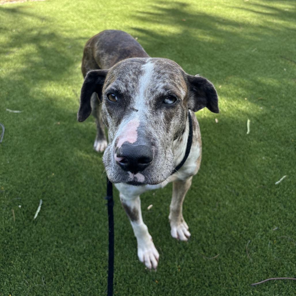 Luna Poo thumbnail 3