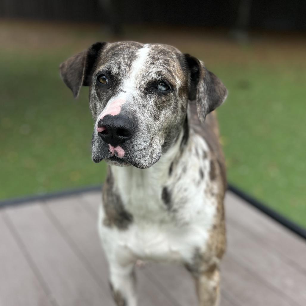 Luna Poo thumbnail 5