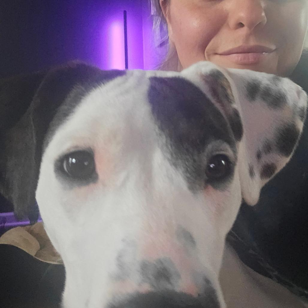 Enlarge Ruby, a Adoptable mixed breed in Avon, OH image 2/6