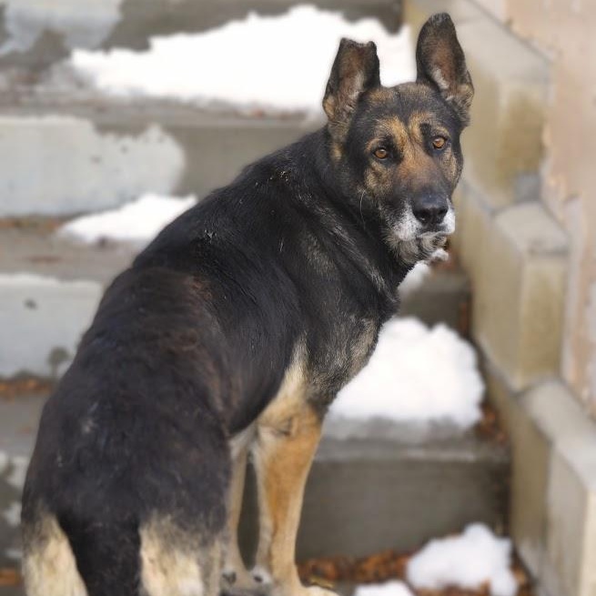 Aquila — thumbnail 5