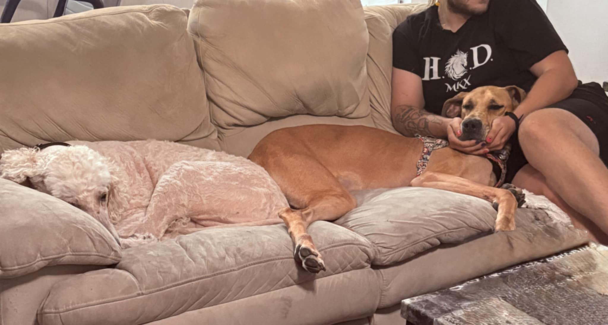 Daisy thumbnail 4
