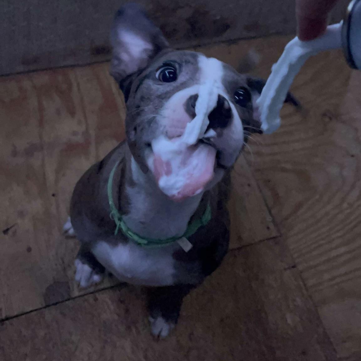 Rue Lyn (20250420-01) 6