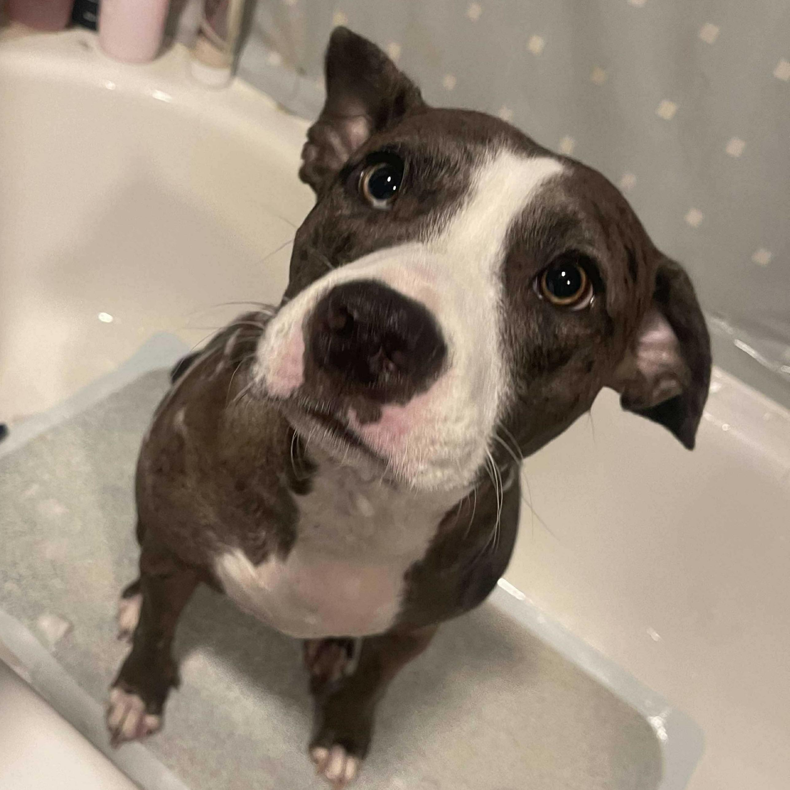 Rue Lyn (20250420-01) 2