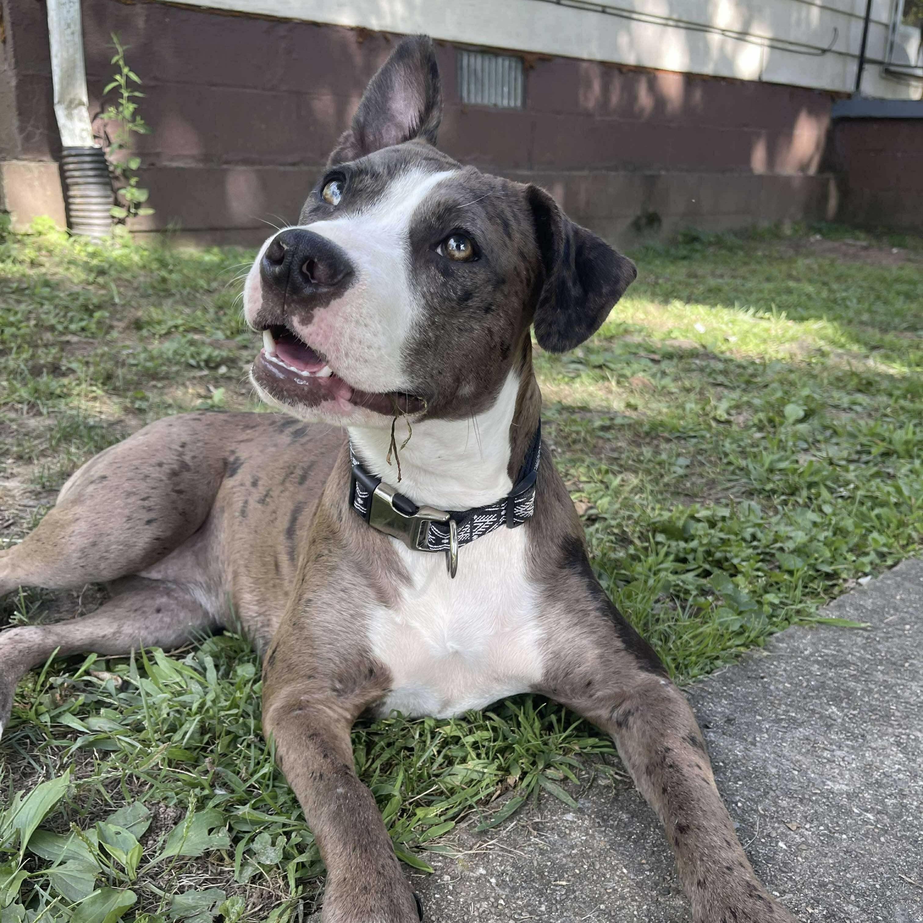 Rue Lyn (20250420-01) 1