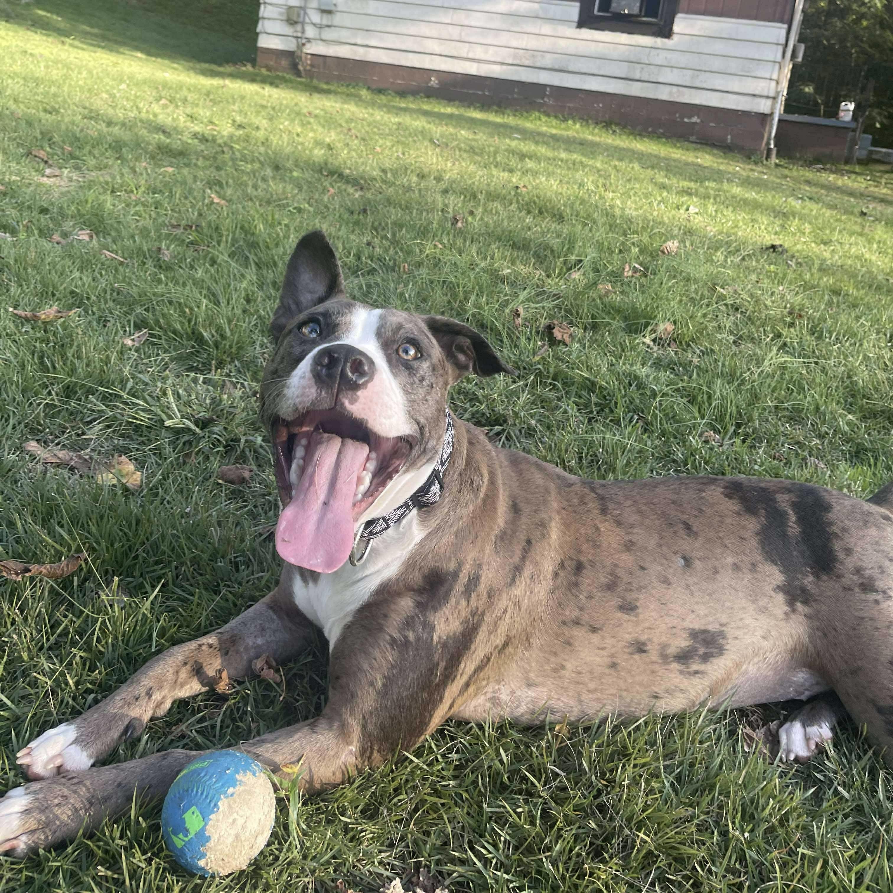 Rue Lyn (20250420-01) 3