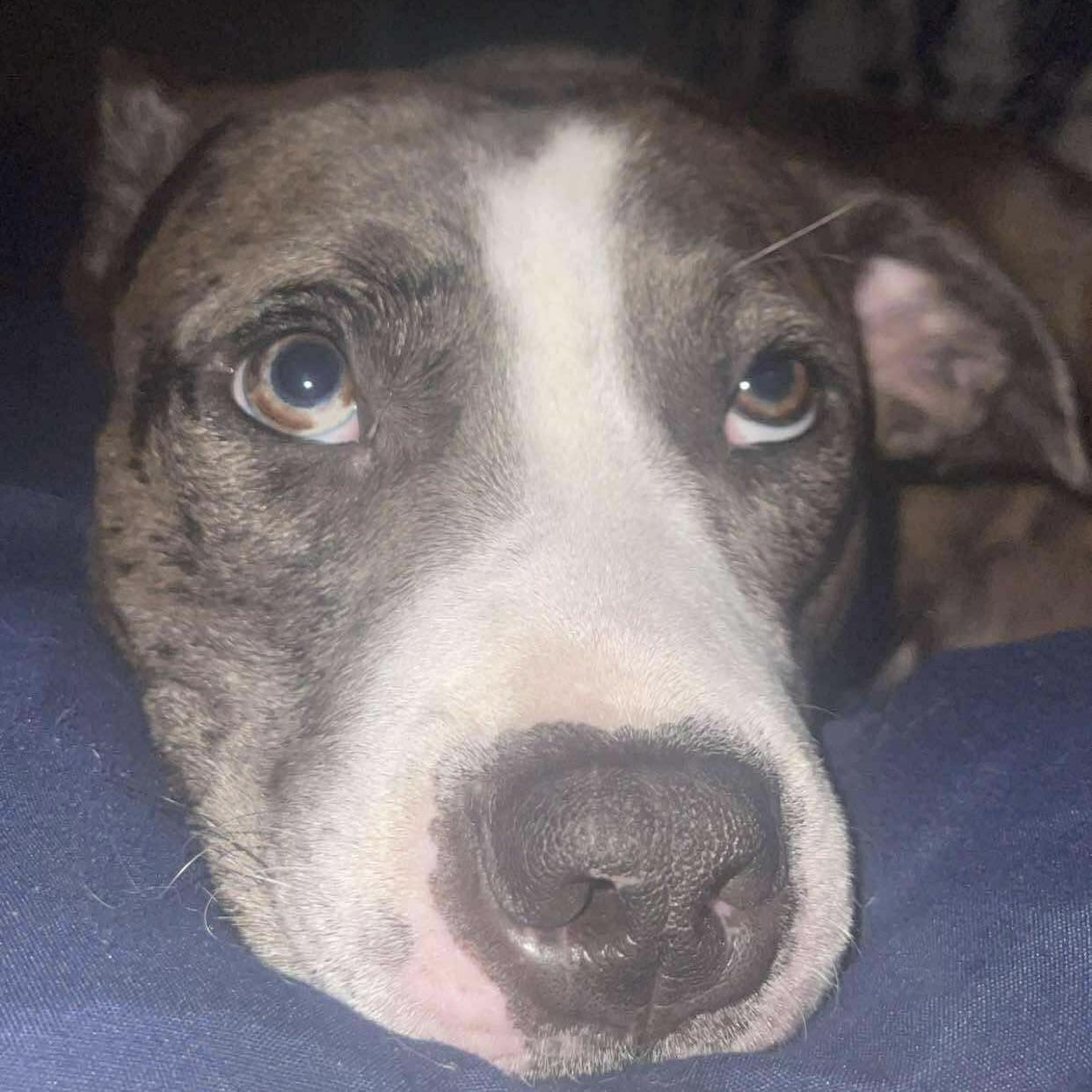 Rue Lyn (20250420-01) 4