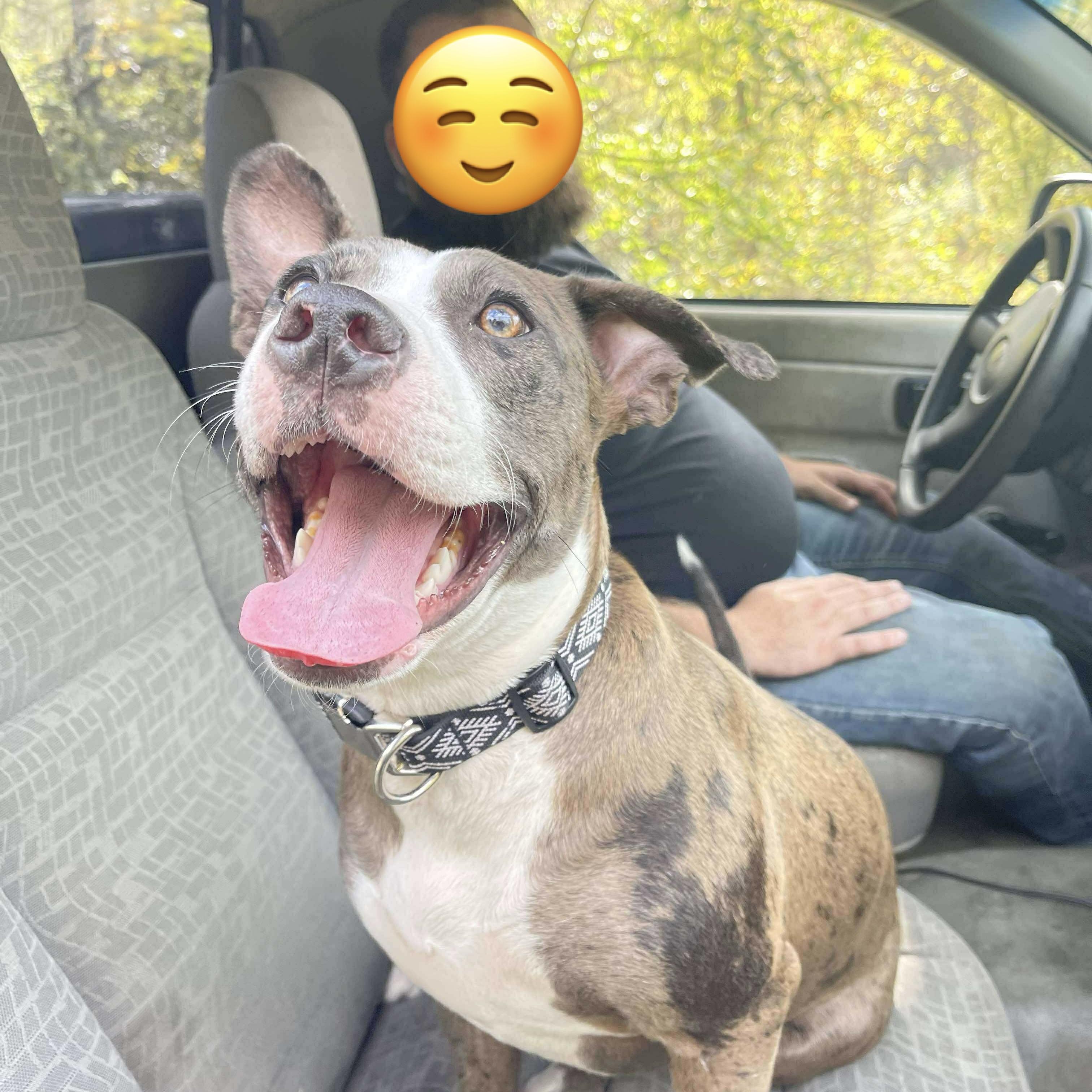 Rue Lyn (20250420-01) 5