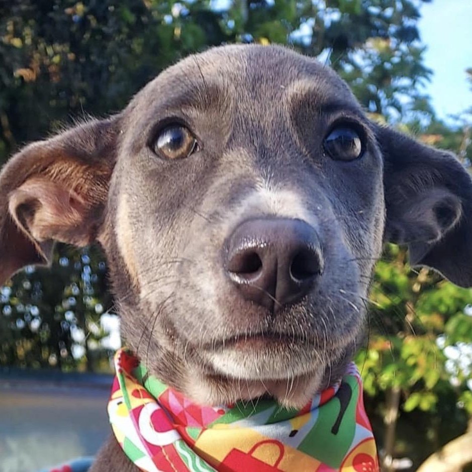 MOLLY JELLYBEAN (in New York) photo