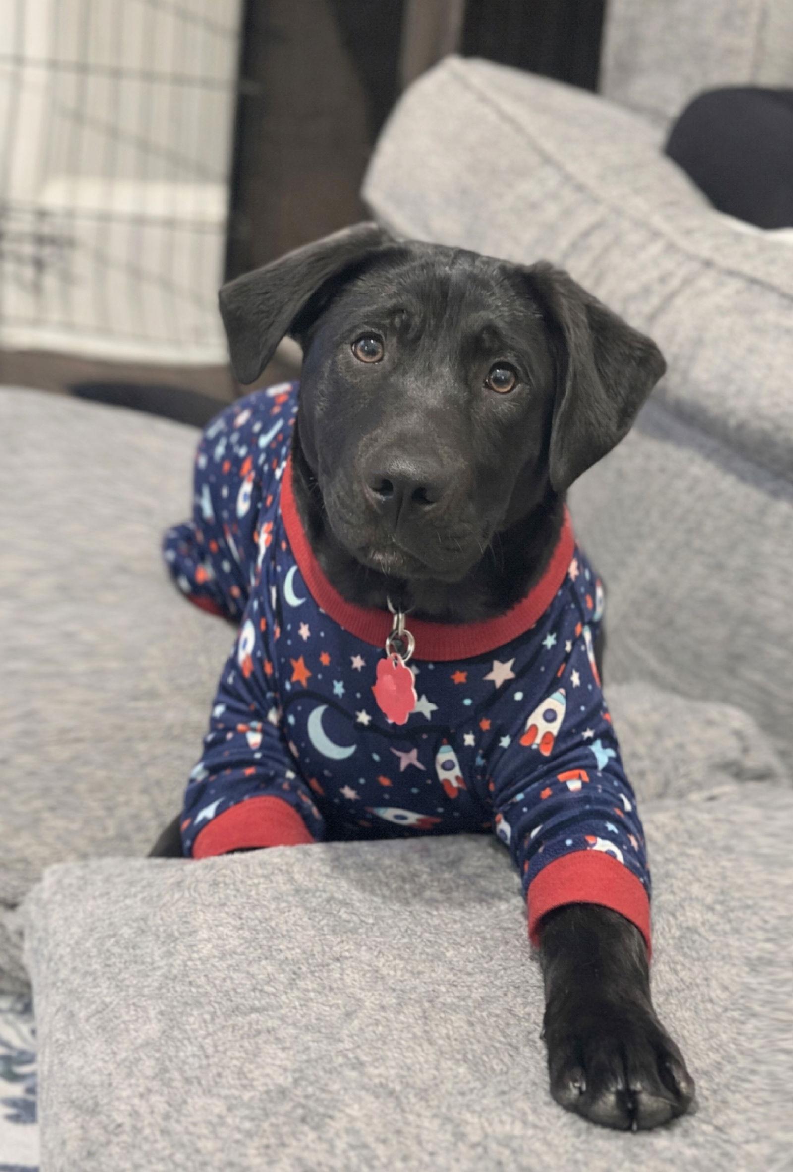 Ace Lonestar thumbnail 3