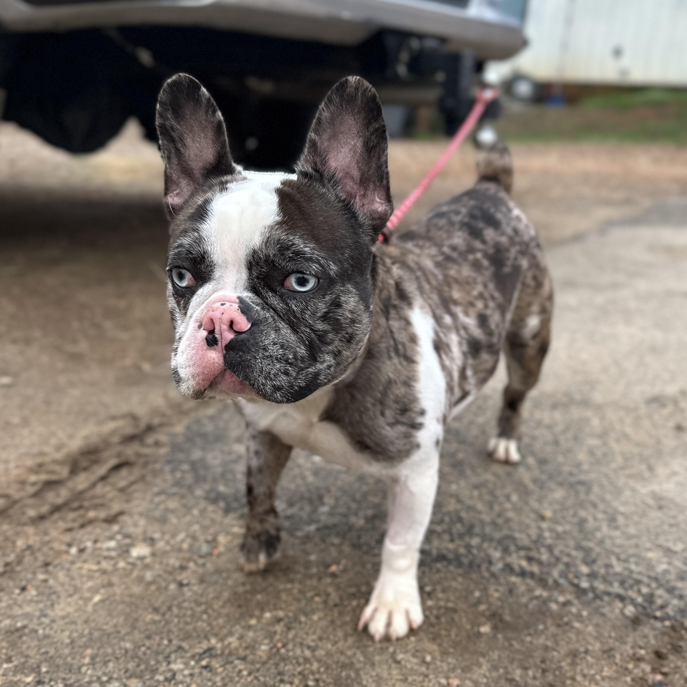 Sinclair — thumbnail 3