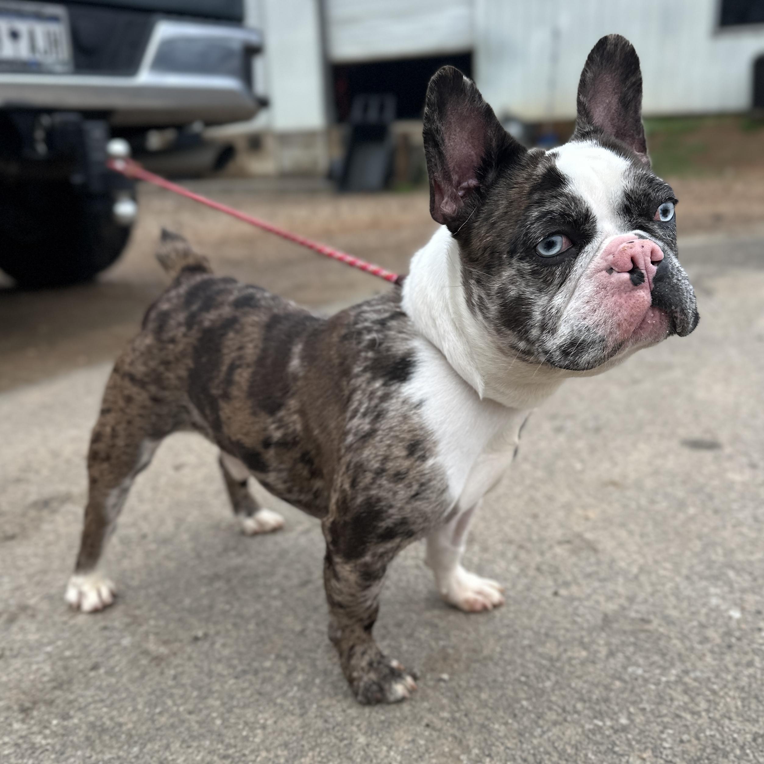 Sinclair — thumbnail 4