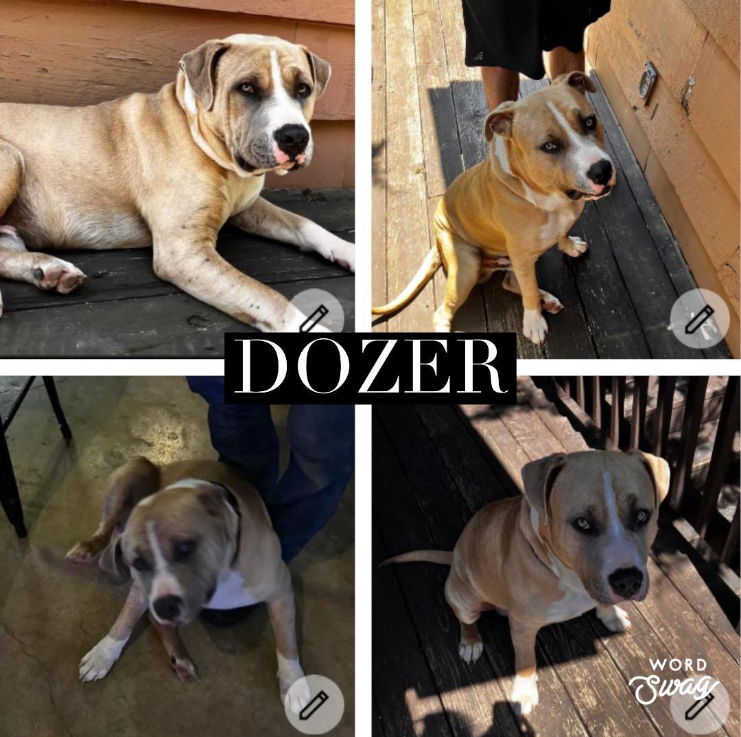 Dozer