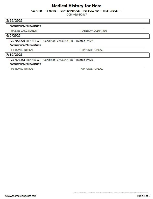 Enlarge Harriett, a Adoptable Pit Bull Terrier in Tehachapi, CA image 2/6