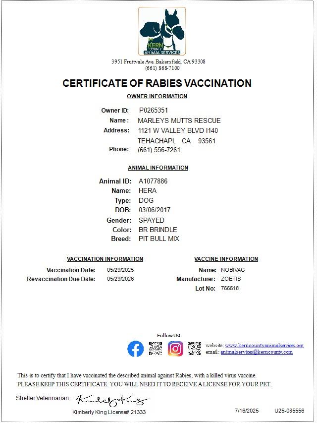 Enlarge Harriett, a Adoptable Pit Bull Terrier in Tehachapi, CA image 4/6