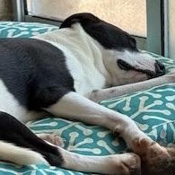 Charlotte thumbnail 3