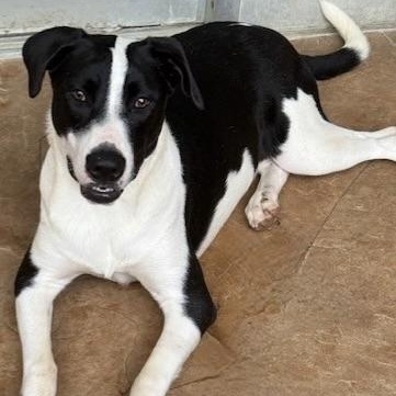 Charlotte thumbnail 4