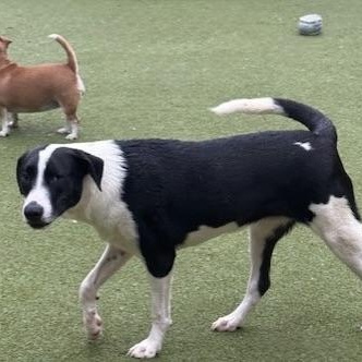 Charlotte thumbnail 5