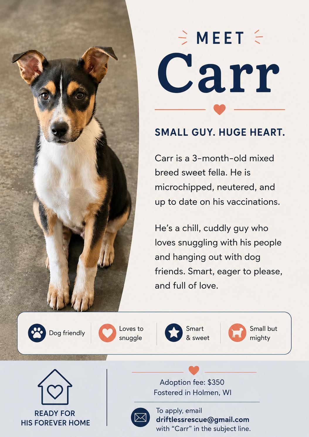 Carr, an adopted Mixed Breed in Holmen, WI image 2/6