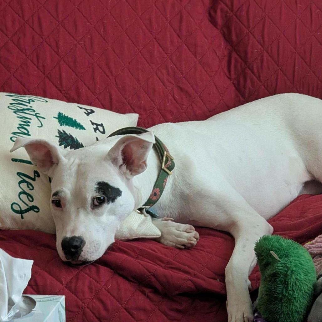 Juana (New Digs) — thumbnail 2