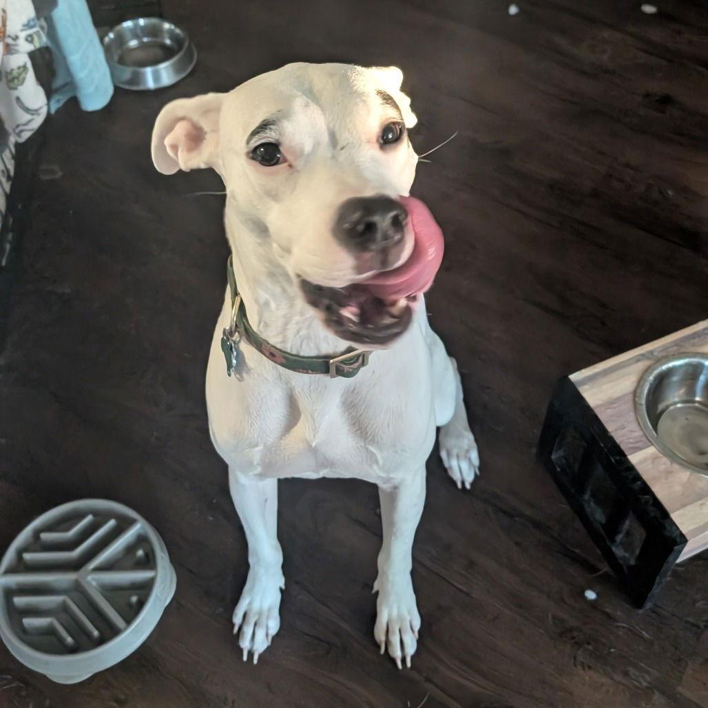 Juana (New Digs) — thumbnail 3