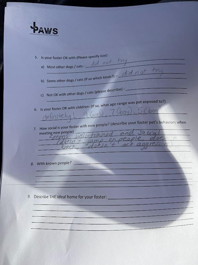 Sher Khan aka Ted 54699487, a ADOPTABLE Pit Bull Terrier in Harvey , LA image 5/6