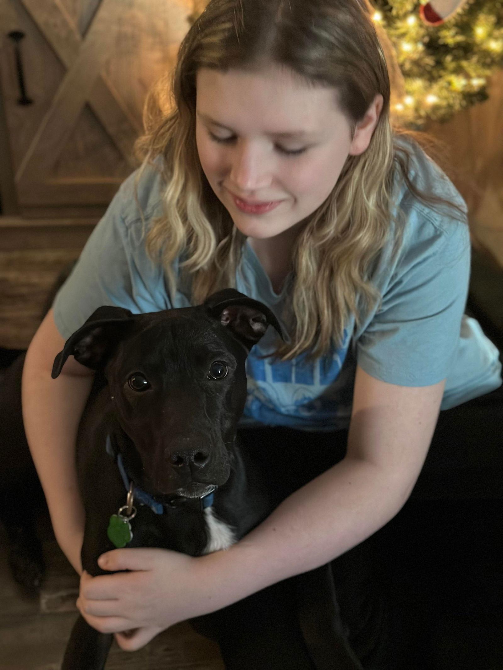 Enlarge Eli, a Adoptable Black Labrador Retriever in Tonawanda, NY image 2/3