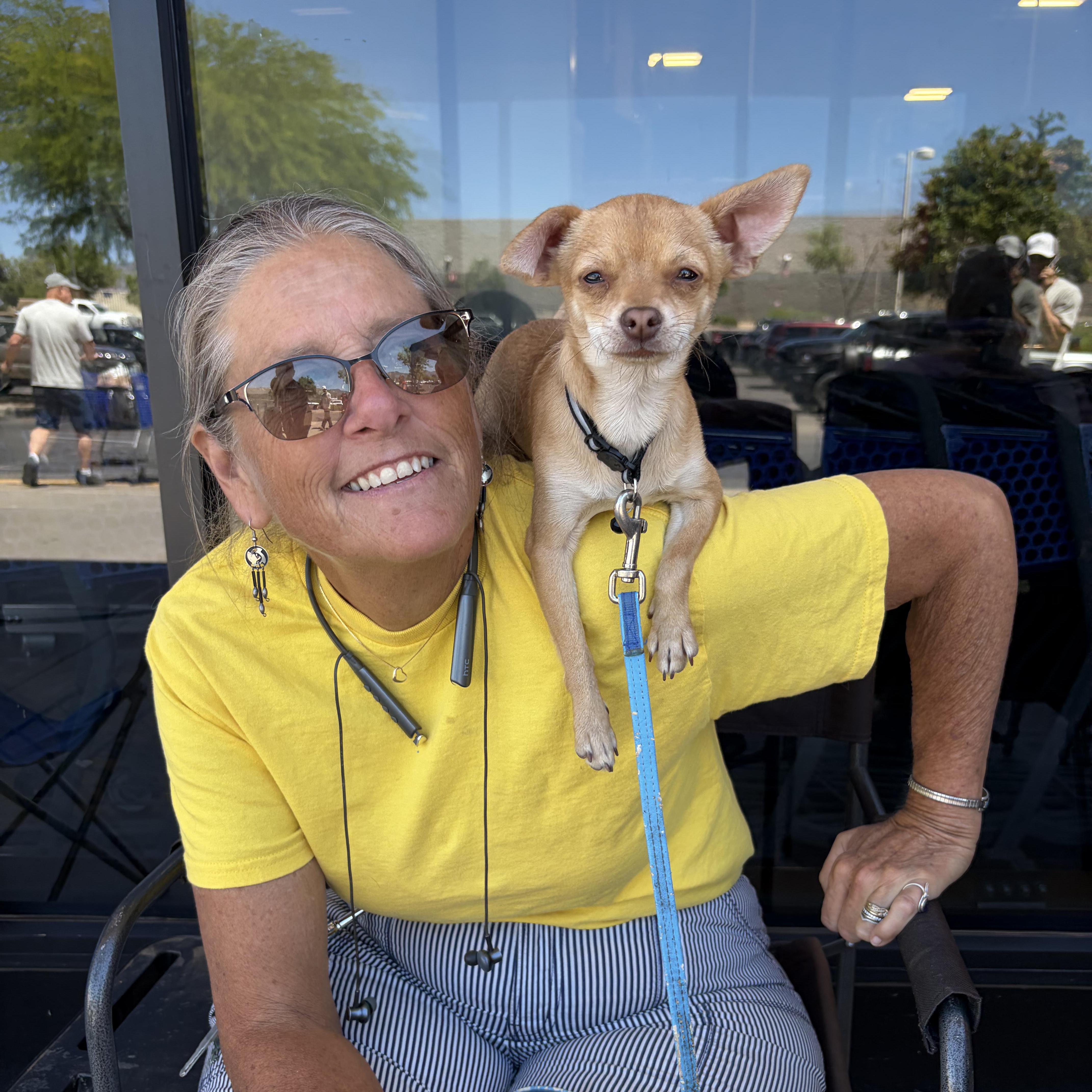 Enlarge Twix, an adopted Chihuahua in Sierra Vista, AZ image 3/3