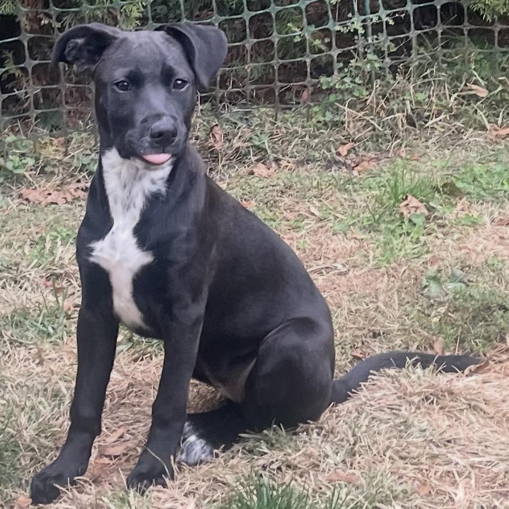 Tammi (Friday Night Lights Litter)