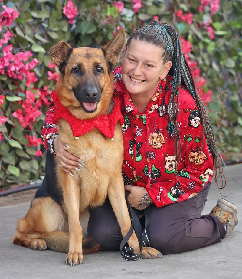 Enlarge Cinnamon von Carlow, a Adoptable German Shepherd Dog in Los Angeles, CA image 2/6