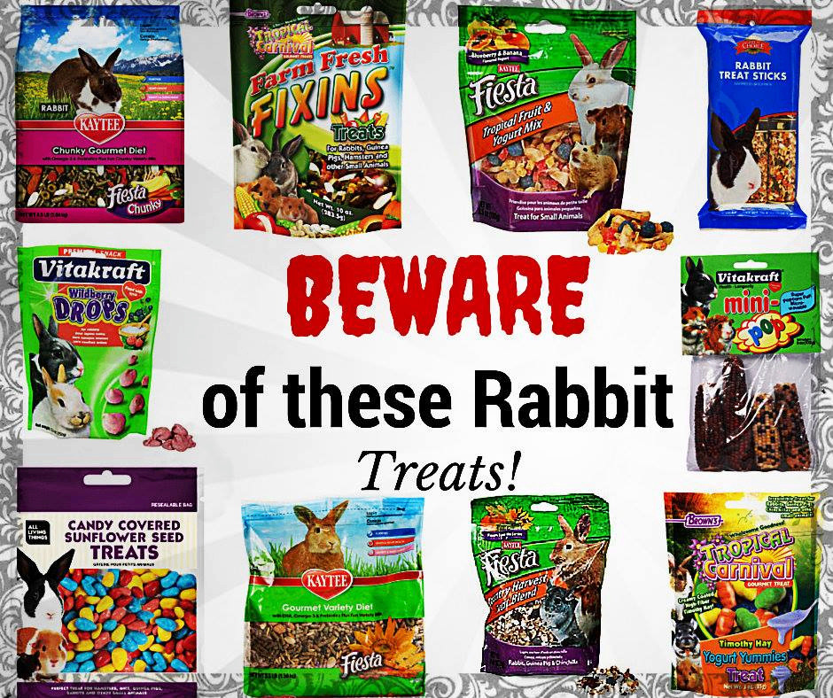 Trinket, a Adoptable Bunny Rabbit in Lake Elsinore, CA image 5/5