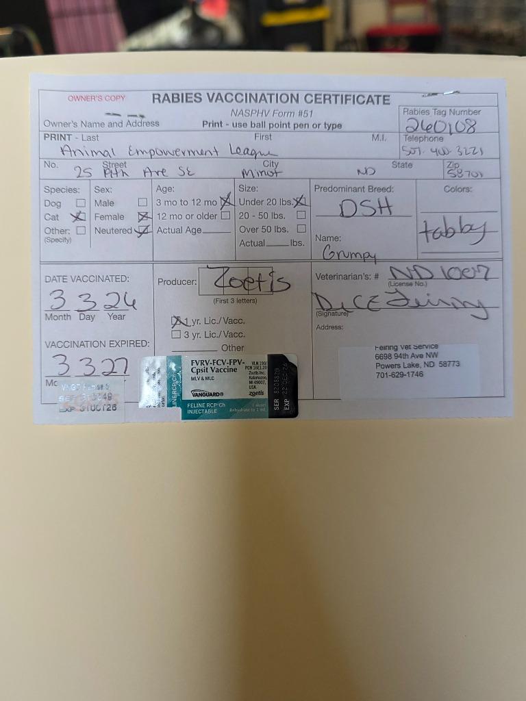 Enlarge Grumpy, a Adopted mixed breed in Minot, ND image 2/2