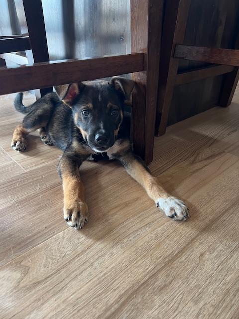 Copper
