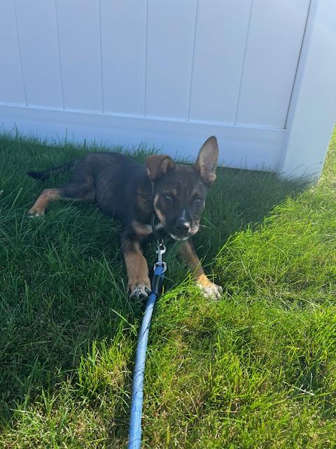 Copper