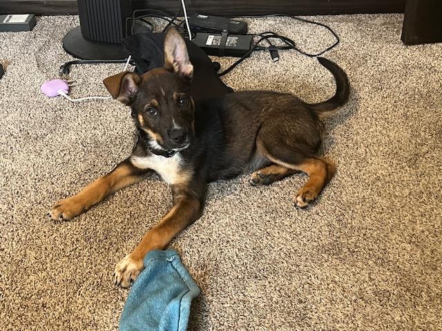 Copper