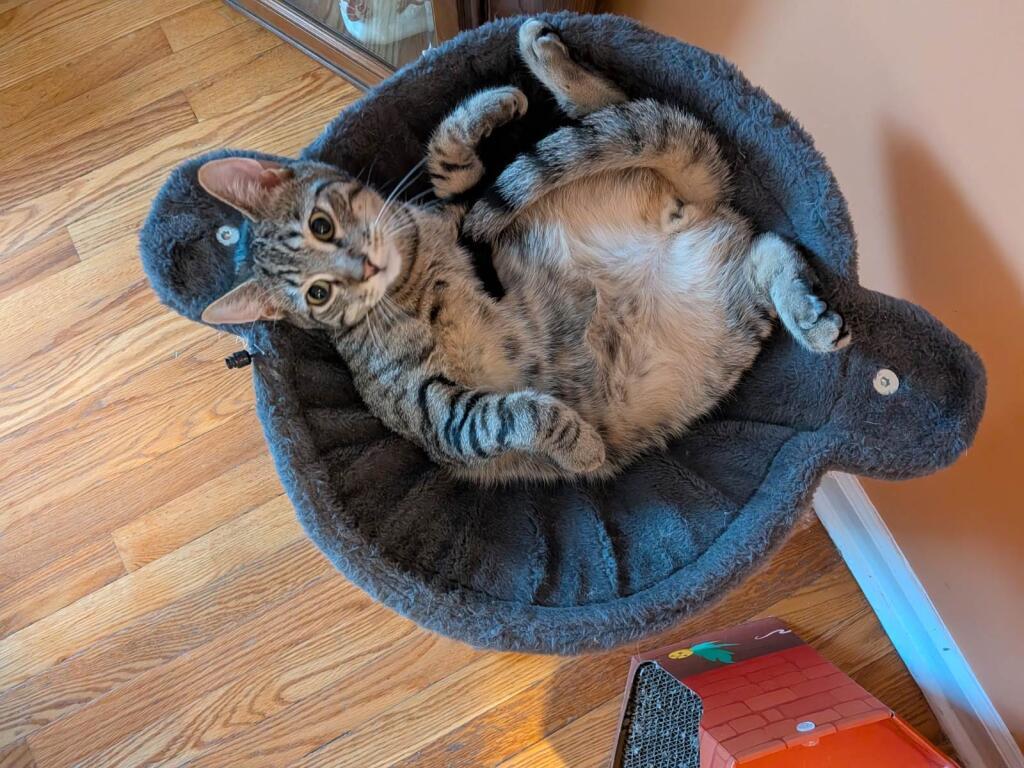 Jermaine — thumbnail 2