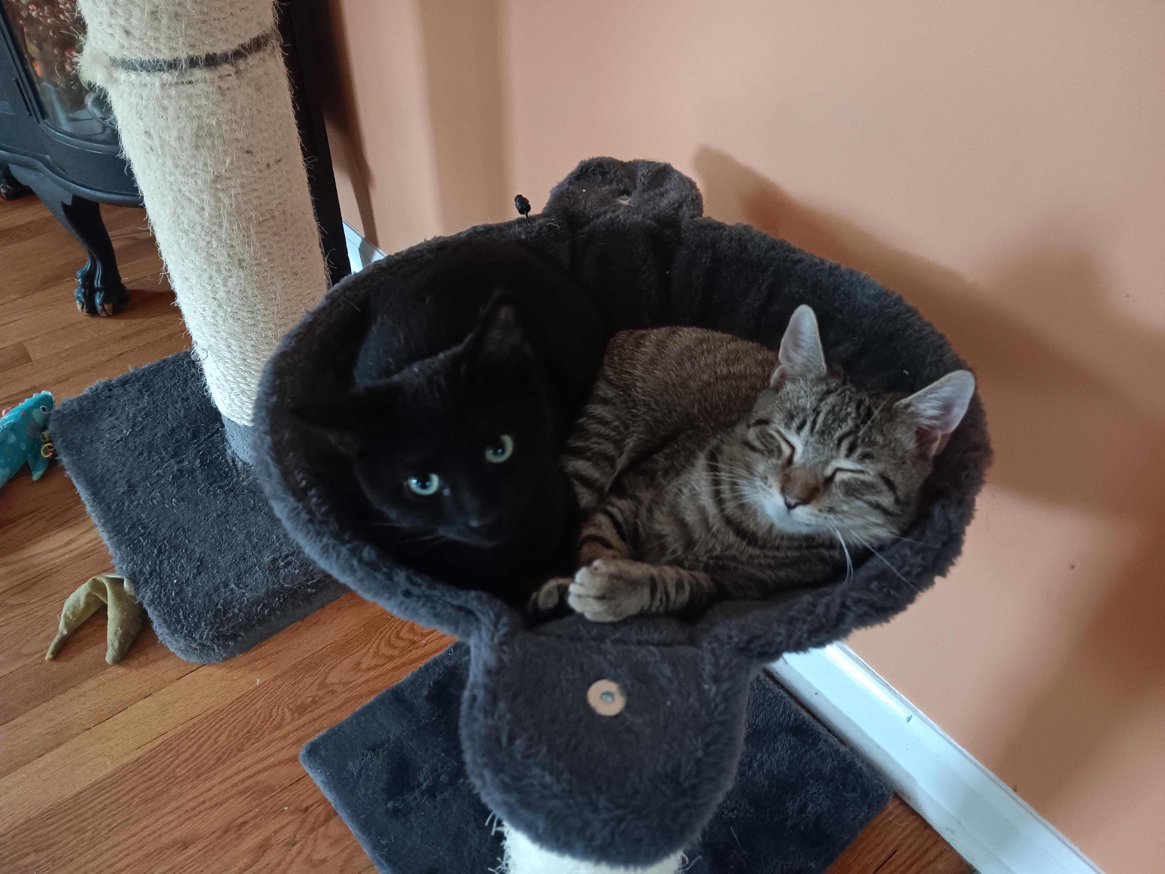 Jermaine — thumbnail 4