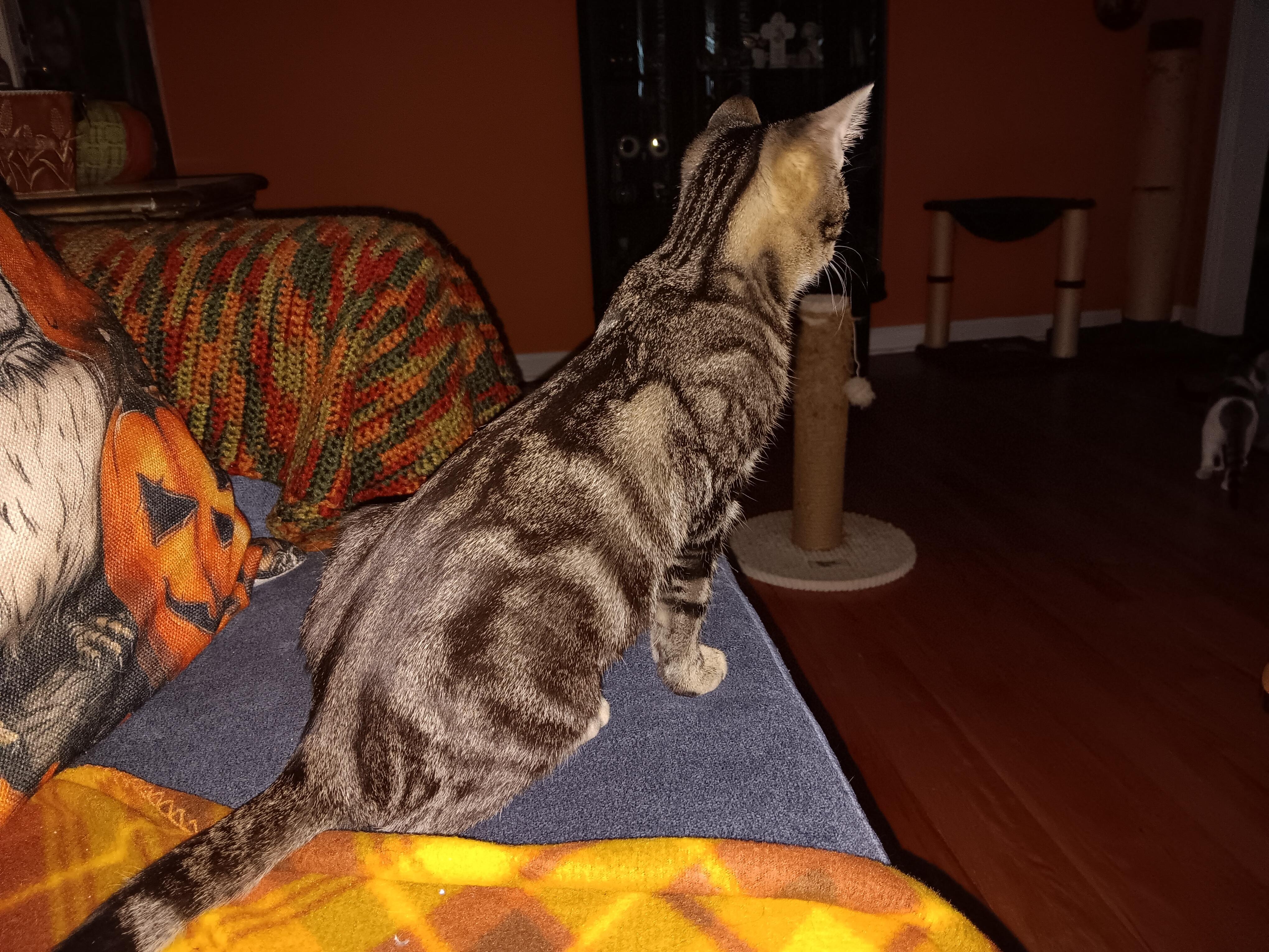 Jermaine — thumbnail 5