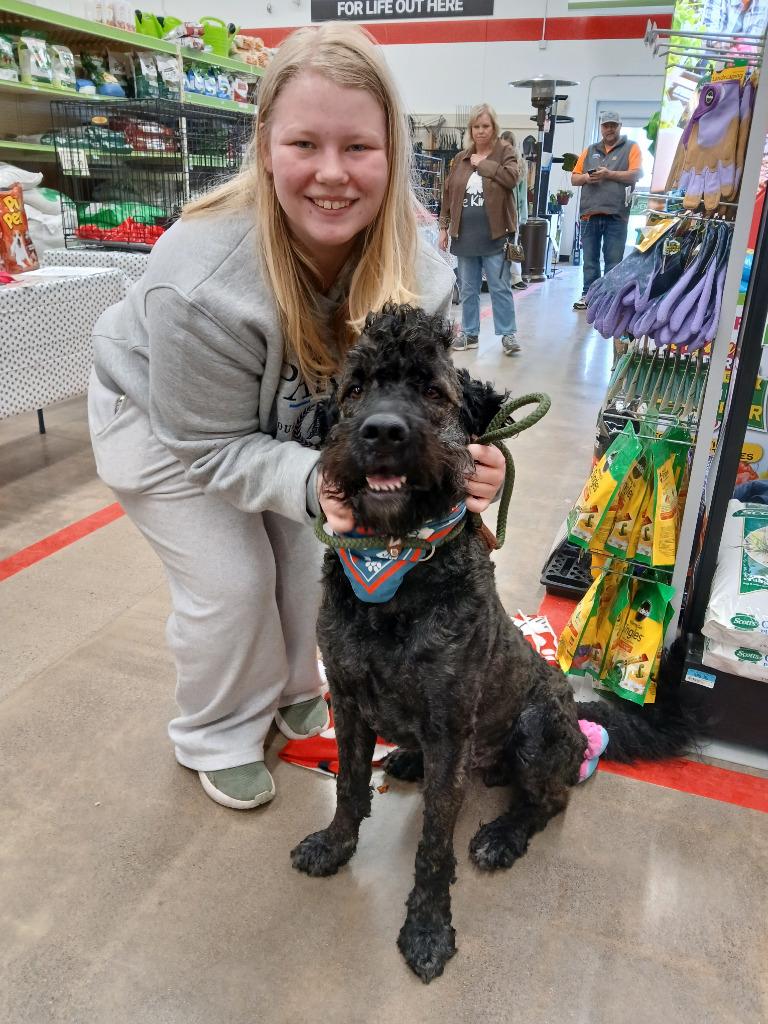 Enlarge Buford, a Adoptable mixed breed in Ladysmith, WI image 5/5